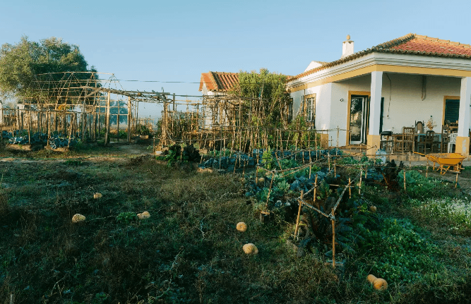 Gallery item 4