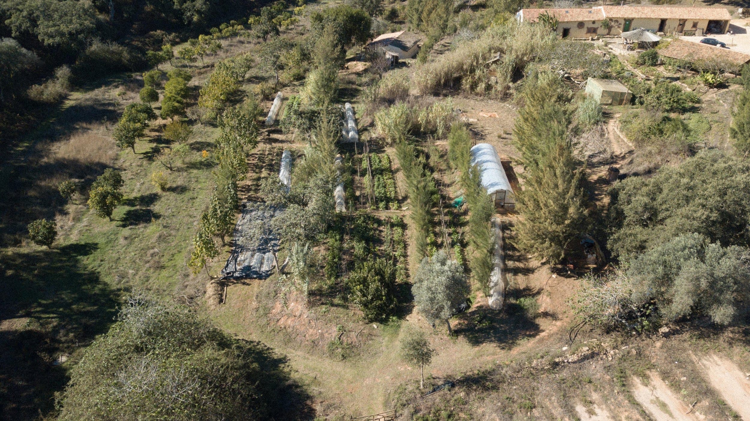 Natural Building Course with Lola Byron