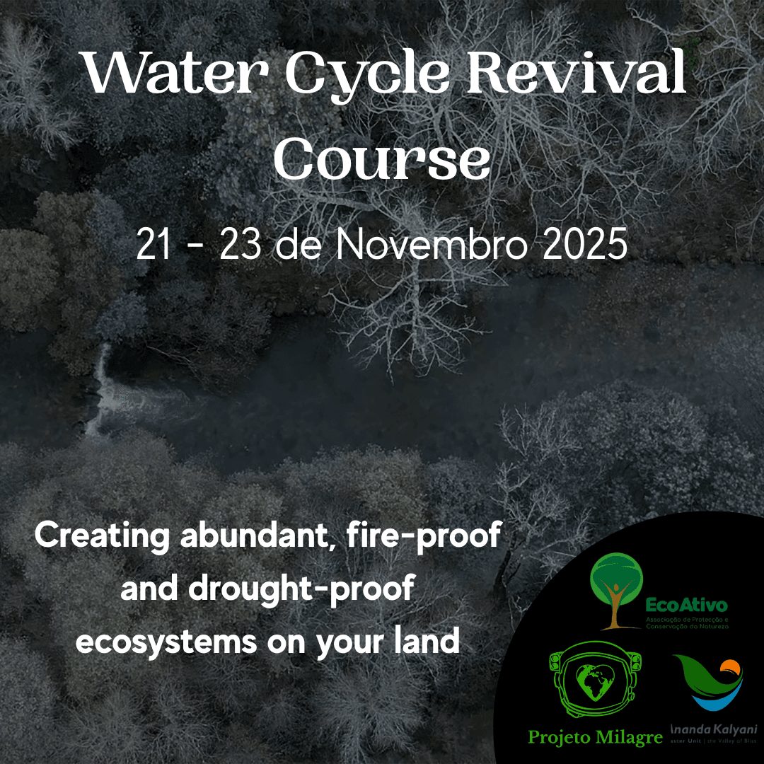 💧 Water cycle revival course