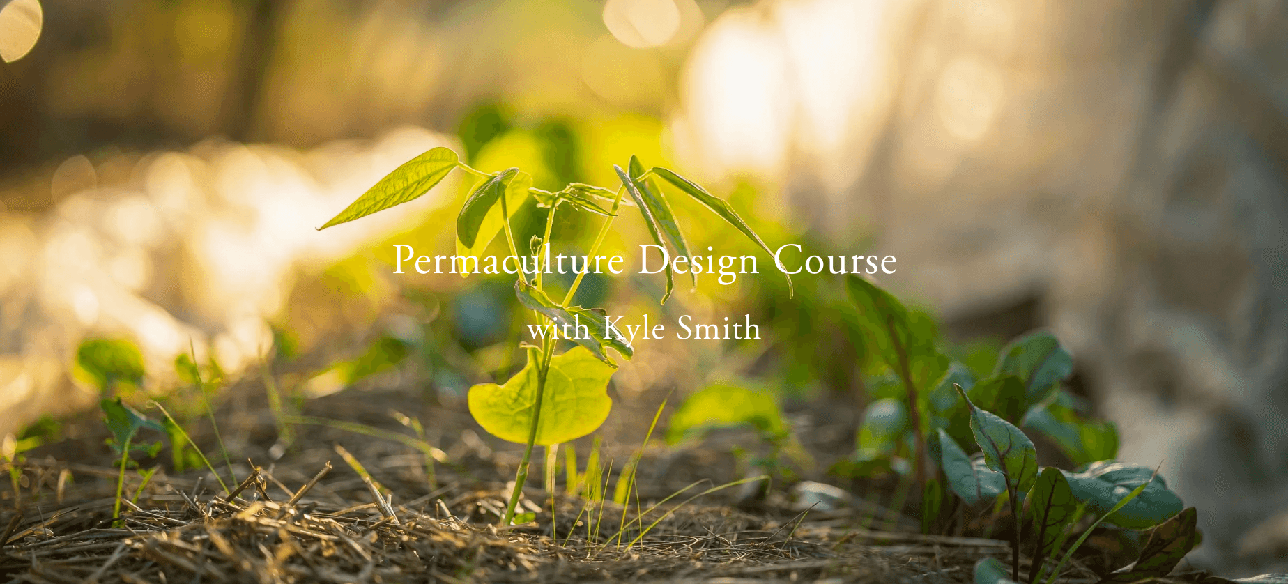 Permaculture Design Course with Kyle Smith, 14-30 March 2026