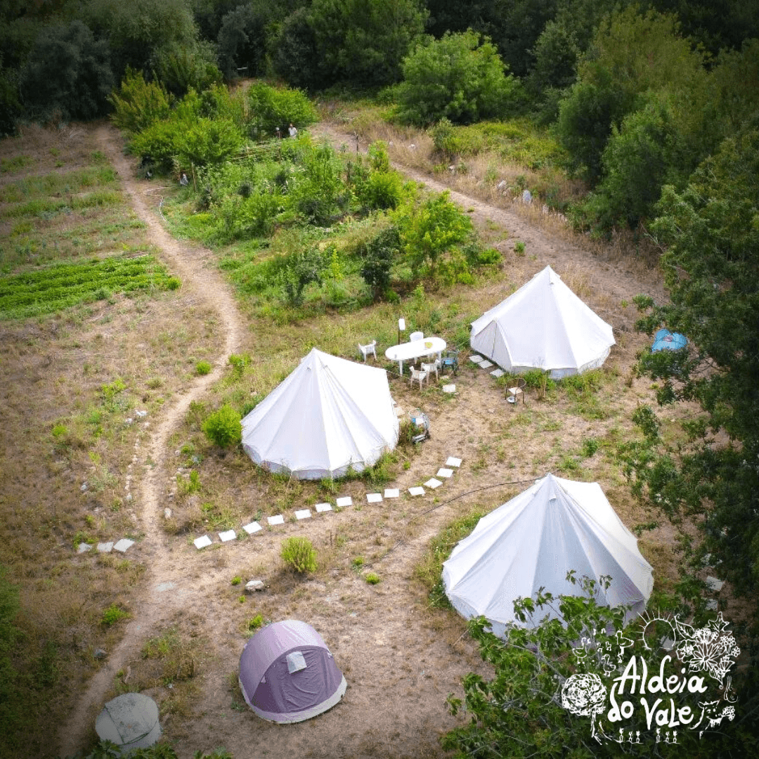Permaculture Design Certificate Course