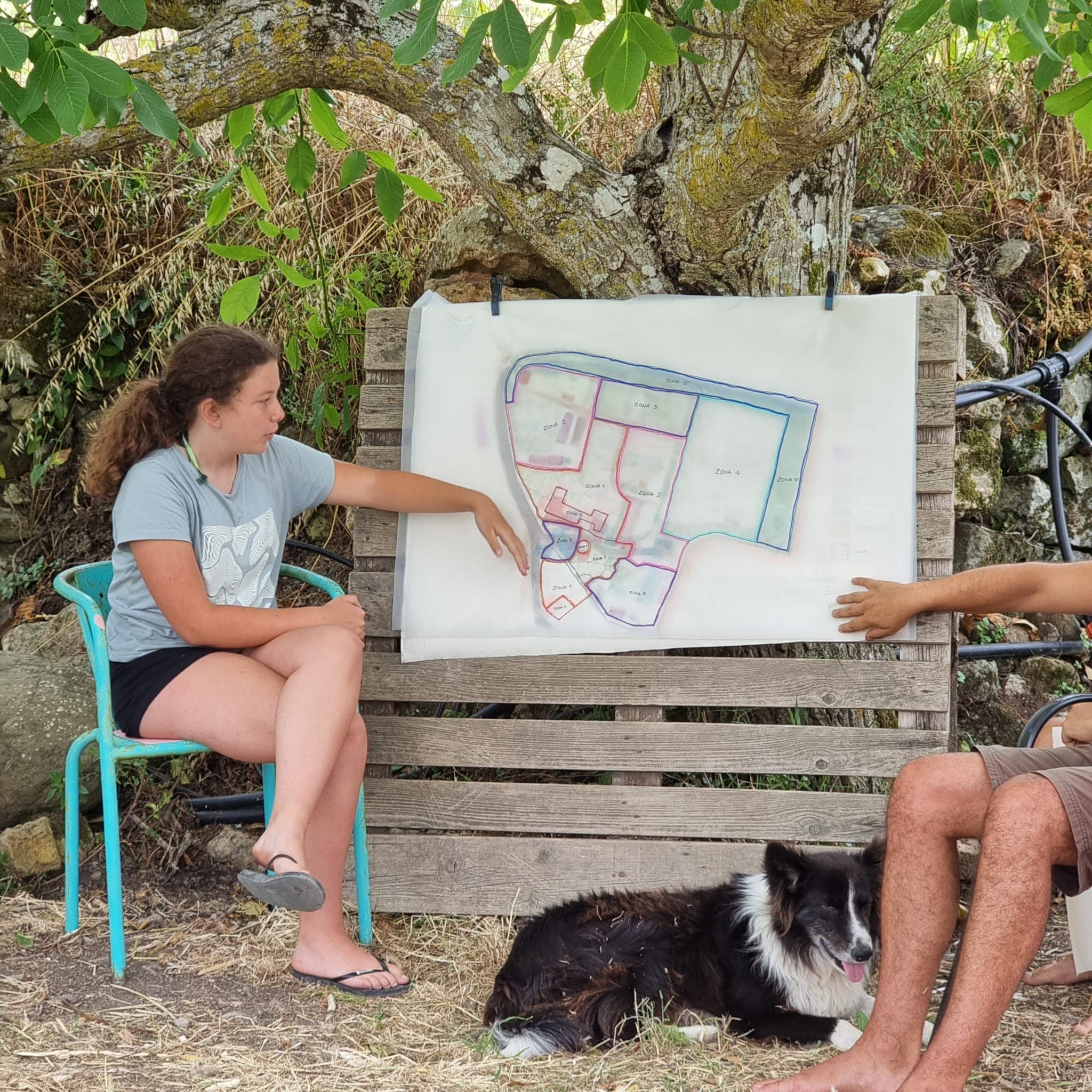 Permaculture Design Certificate Course