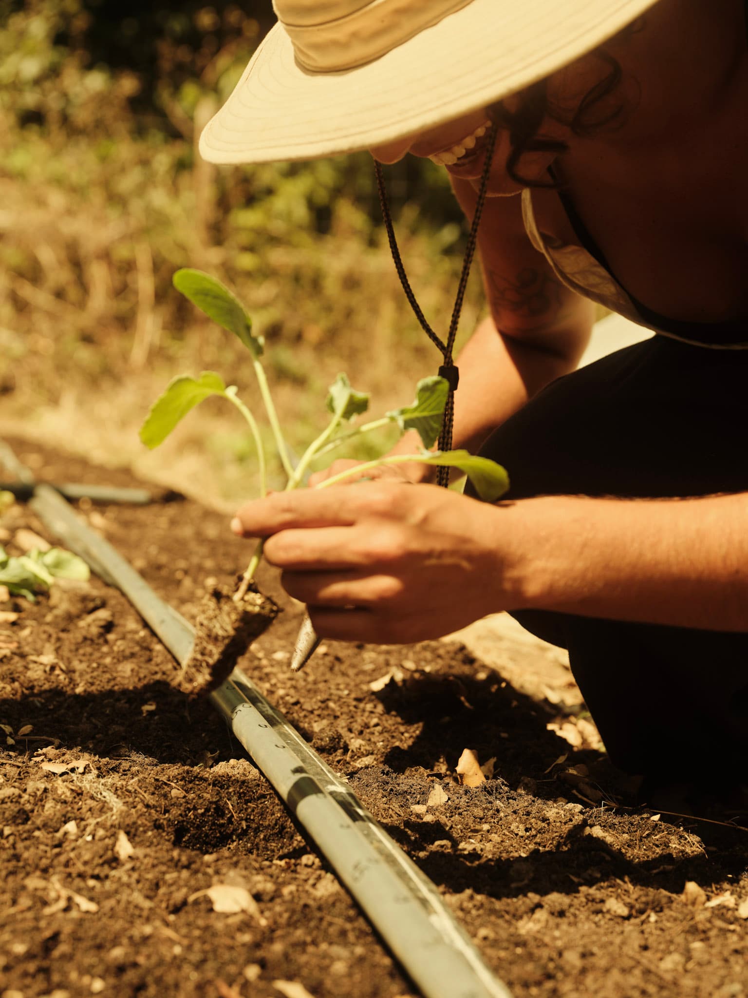 Permaculture Design Course 18th - 28th June 2027
