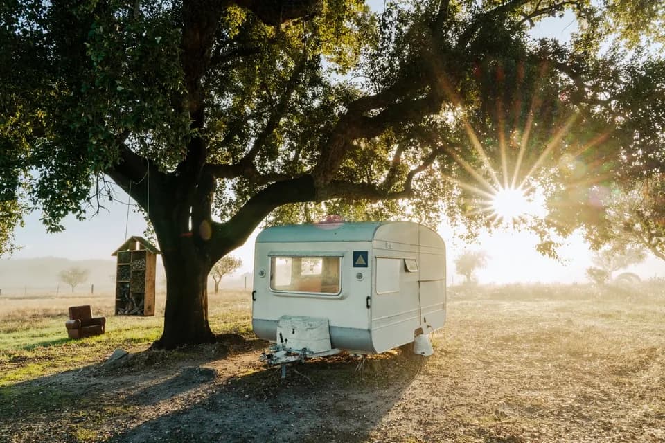 The Caravan